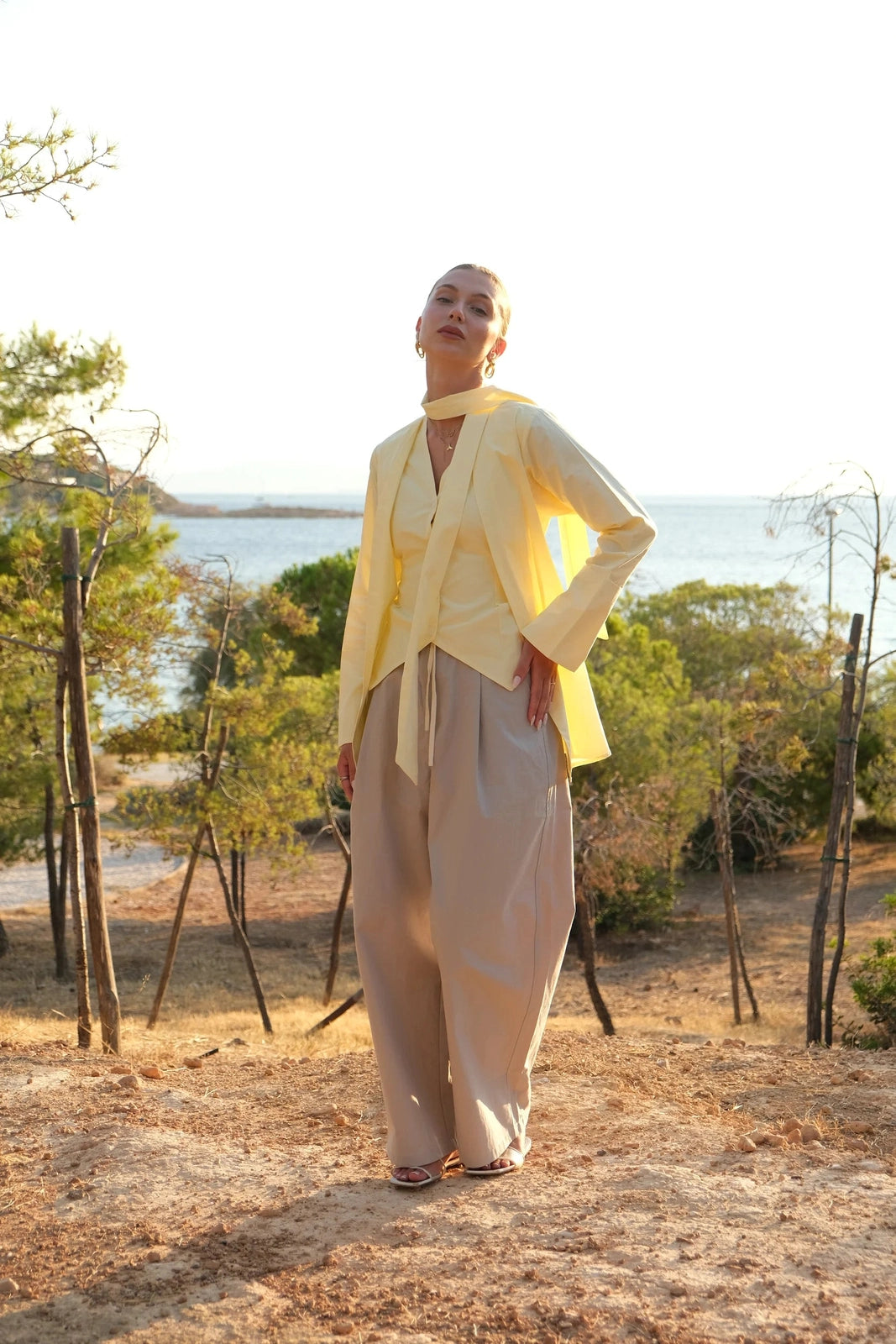 Butter Yellow