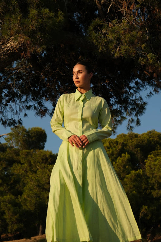 Lime - Timeless Boutique